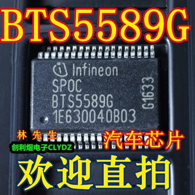 BTS5589G  汽车芯片 SSOP  BTS55896 BTS5589G