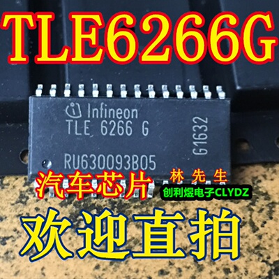 TLE6266G SOP28进口现货 TLE6266G