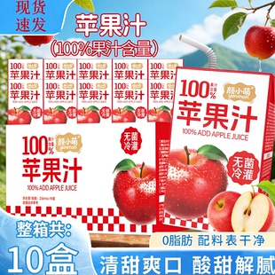 颜小萌苹果汁整箱酸甜适口250ml*10盒独立包装方便携带夏日饮料