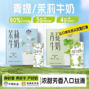 云南乍甸茉莉/青提风味牛奶200克*16盒礼盒装含乳饮料儿童早餐奶
