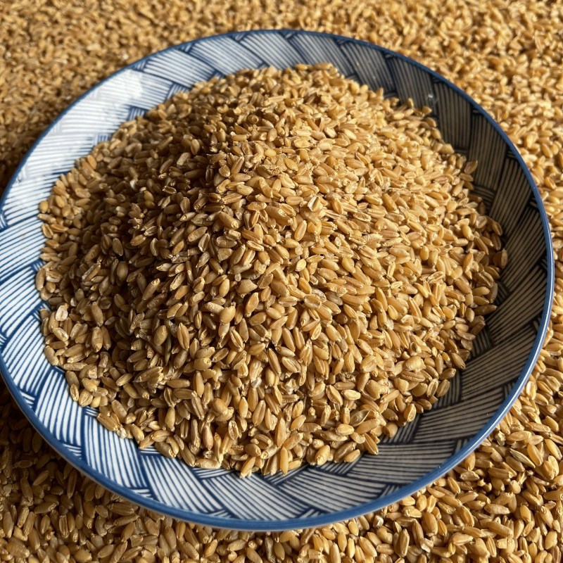 浮小麦煲汤泡水泡茶喝浮小麦茶 止汗 可搭甘草红枣 500g克