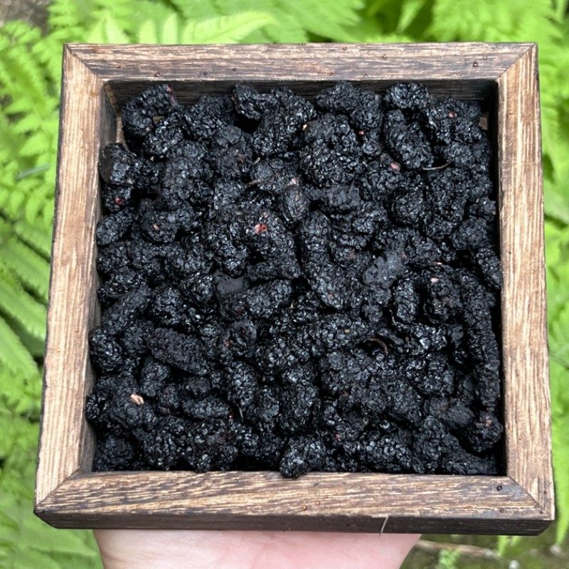 桑葚干500g 大颗黑桑椹干货 泡茶泡水喝 即食 桑甚干果黑桑葚干茶,传统滋补营养品,桑椹/桑葚原浆/桑葚汁,淘宝优惠券,粉丝福利购,淘宝优惠卷