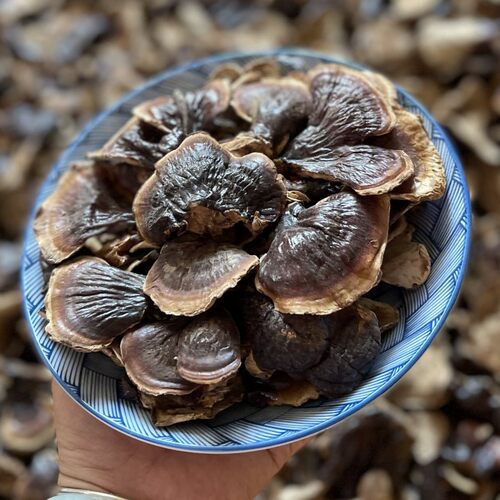 长白山紫芝赤黑灵芝粉茶林芝