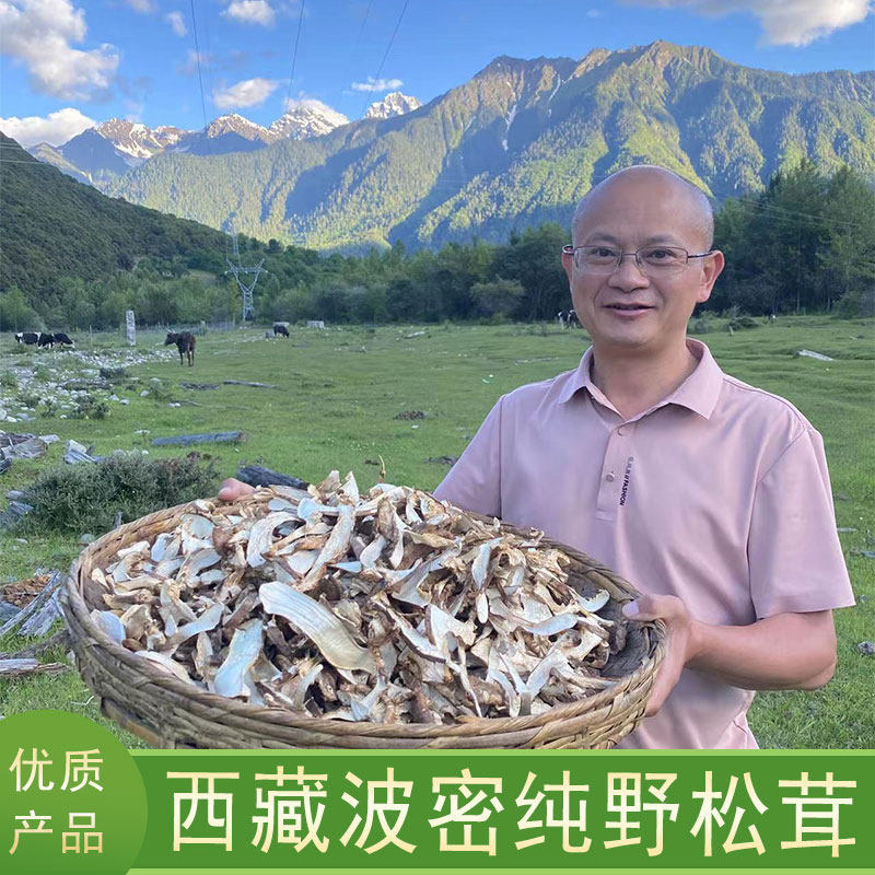 松茸干货 西藏高海拔纯野 松茸其它