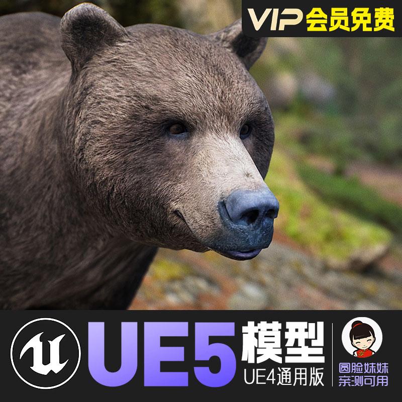 UE5虚幻4_风格化棕熊雄性棕熊动画模型 Animalia Brown Bear male