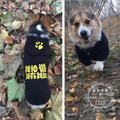 边牧斗牛比格犬可卡柴牧羊犬衣服