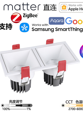 智能matter射灯直连Applehomekit绿米谷歌三星双头射灯涂鸦zigbee