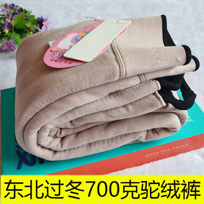 彩色春天1071高腰保暖裤女加绒加厚驼绒棉裤一线裆打底裤1027