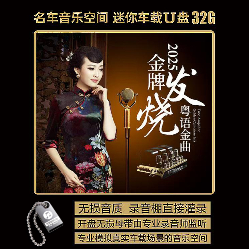 2025网络流行歌人声试机 发烧音质 粤语经典WAV无损音车载音乐U盘