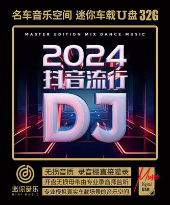 2024抖音流行 热歌 粤语 英文 爆红网络DJ 无损高音质车载U盘优盘