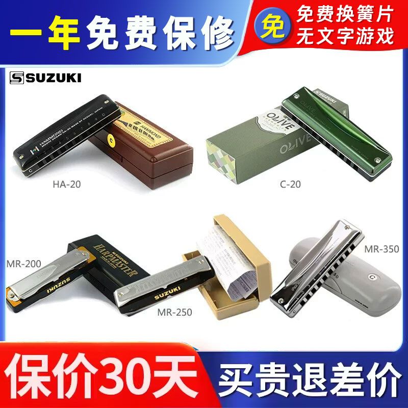 铃木十孔paddy音阶带低音6