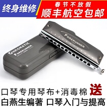 No diaphragms, no mucous membrane, Oriental tripod forerunner, 12 hole halftone harmonica, beginner, beginner