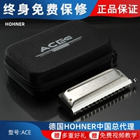 Hohner German New ACE48 и LAI 12-луночный полушарный канал Профессиональная производительность ACE-48 Бесплатная доставка