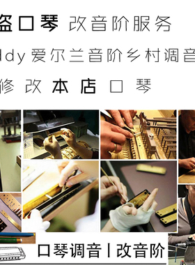 海盗口琴改音阶服务paddy爱尔兰音阶乡村 调音等 只修改本店口琴