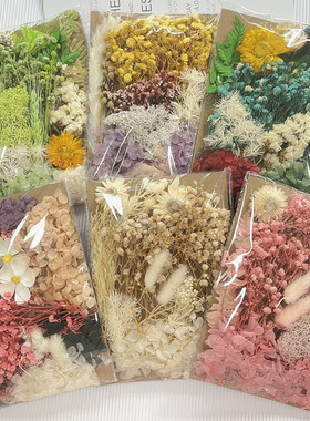 混装干花DIY手工蜡烛石膏真花风干永生花多色系活动材料包相框团
