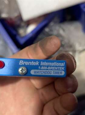 议价-Brentek型号GX2-WDT24-2a，定时器