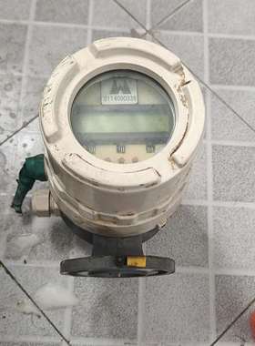 议价-威尔泰WT4300E电磁流量计，型号DE43F，流
