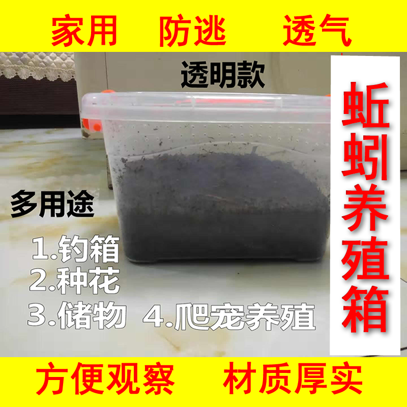 蚯蚓养殖箱 家用蚯蚓养殖箱防逃专用养蚯蚓箱饲养蚯蚓箱养殖饲养 户外/登山/野营/旅行用品 饵料盒 原图主图