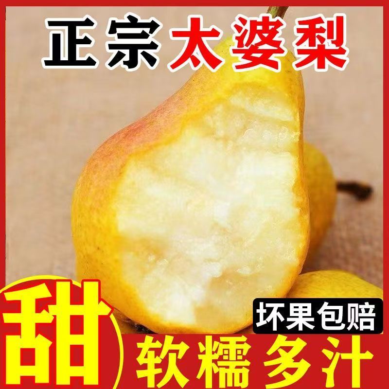 正宗太婆梨超甜香蕉梨軟梨新鮮水果大頭梨孕婦應季梨子一整箱發(fā)貨
