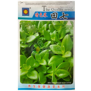 田七种籽种孑中药材中药种子家庭阳台庭院四季盆栽特色蔬菜药材