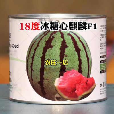 18度冰糖麒麟西瓜种籽8424种子种孑特大早熟抗病春季四季大田专用