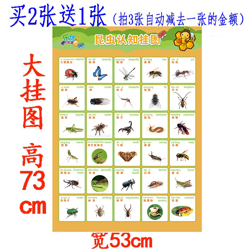 宝宝启蒙昆虫海洋生物认知挂图无声全套婴幼儿童早教墙贴画海报