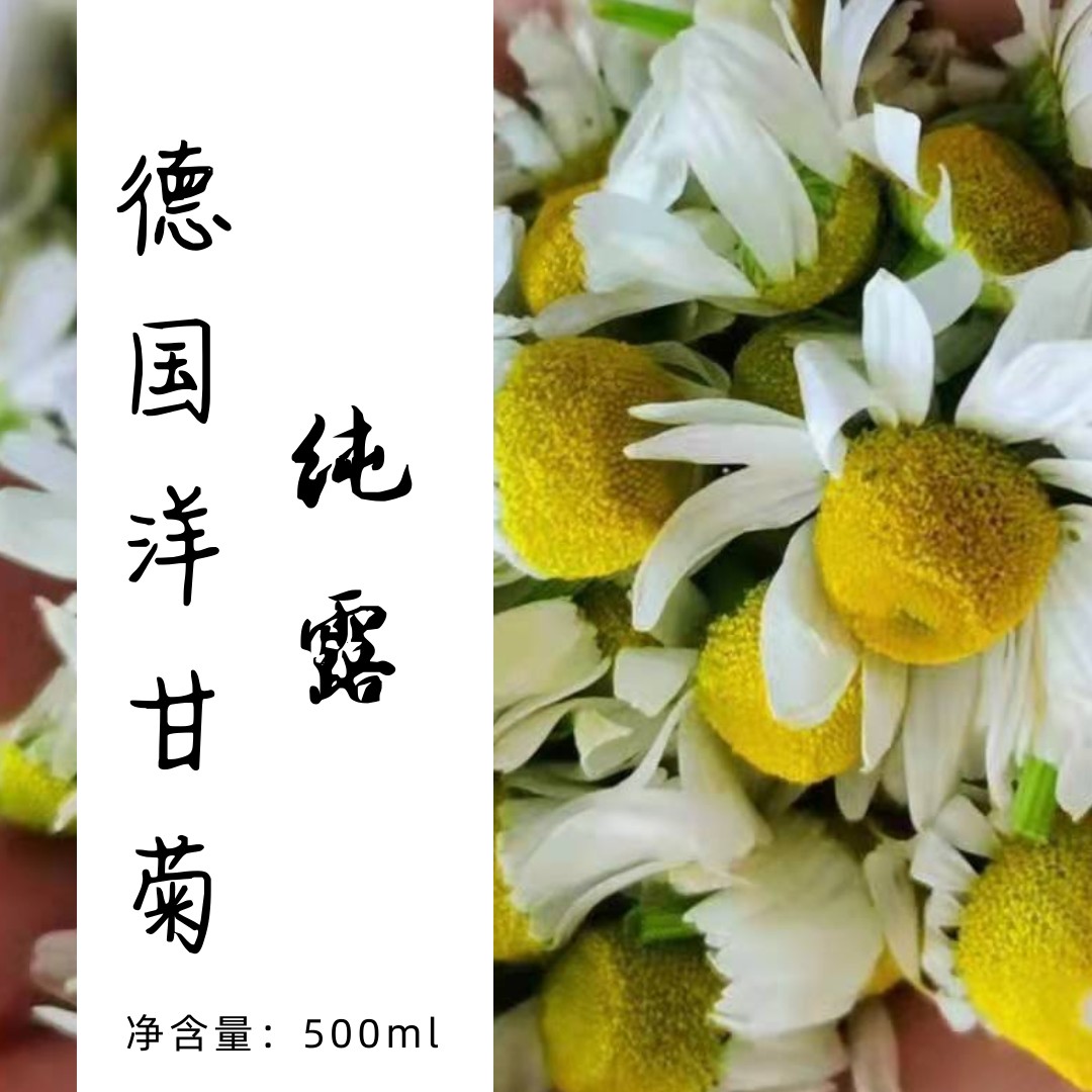 德国洋甘菊纯露500ml 鲜花提取  蓝色精油 包邮 护肤原材料水
