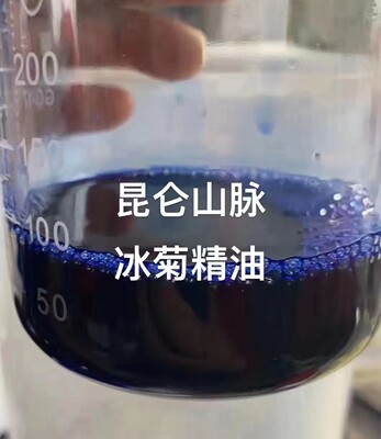 昆仑山冰菊精油 5毫升单方 稀有精油 品质如图 无添加 深蓝色高纯