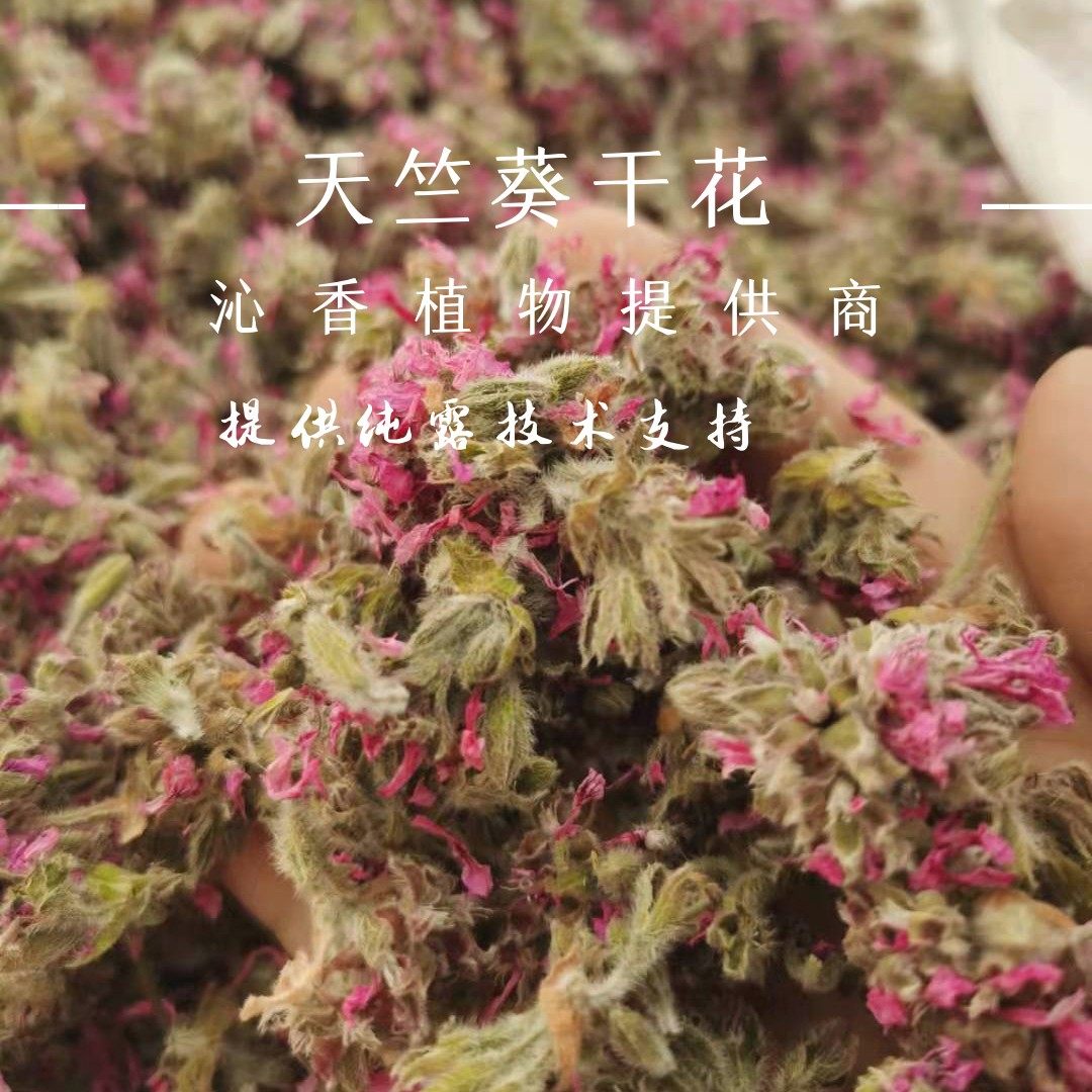 天竺葵干花 当季晒制 纯露专用50克装 不含硫 可泡制