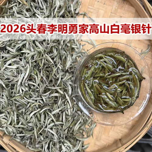 2026头春普洱月光白生茶纯单芽尖茶白毫银针头春美人茶散茶500克