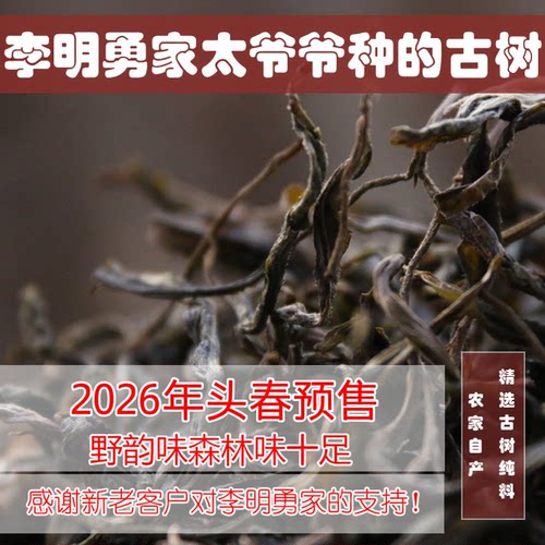 2026年霸道百年古树上市头春散装纯料大叶种普洱生茶500克包邮