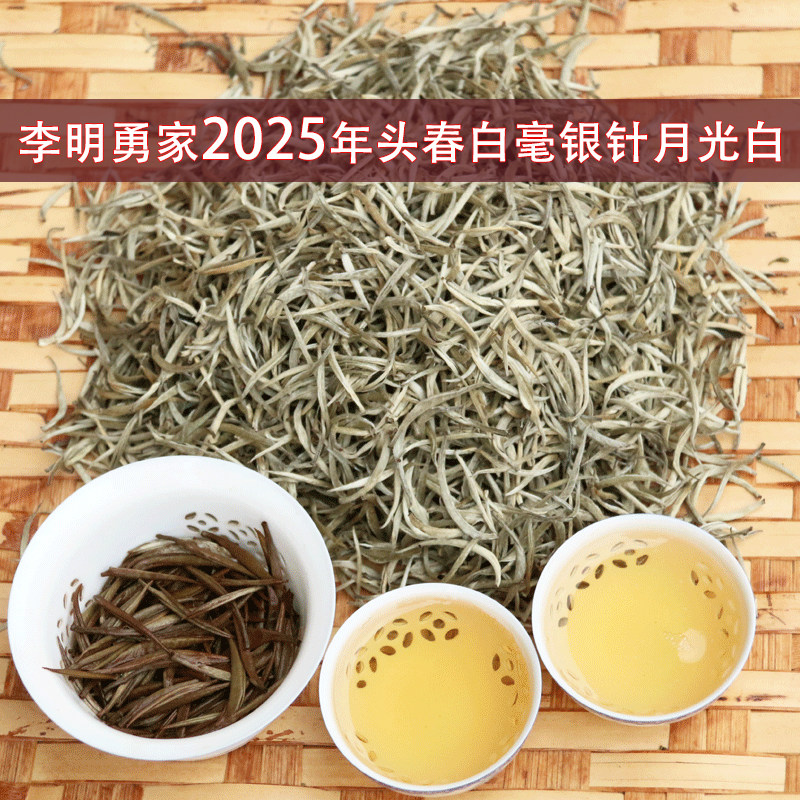 2025头春普洱月光白生茶纯单芽尖茶白毫银针头春美人茶散茶500克图片