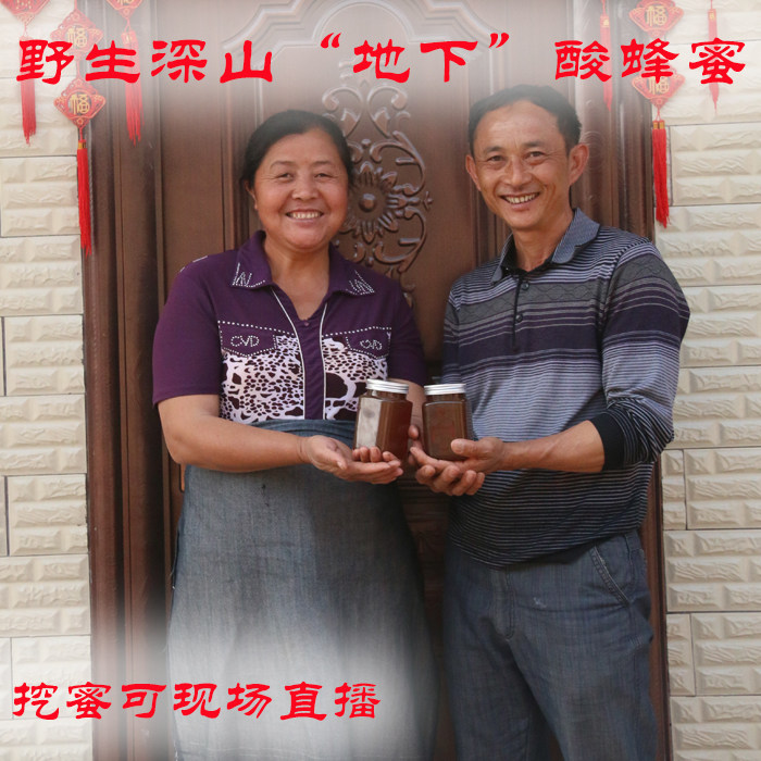 云南西双版纳酸蜂蜜纯野生酸蜂蜂蜜天然土蜂蜜百花蜜巢蜜500克