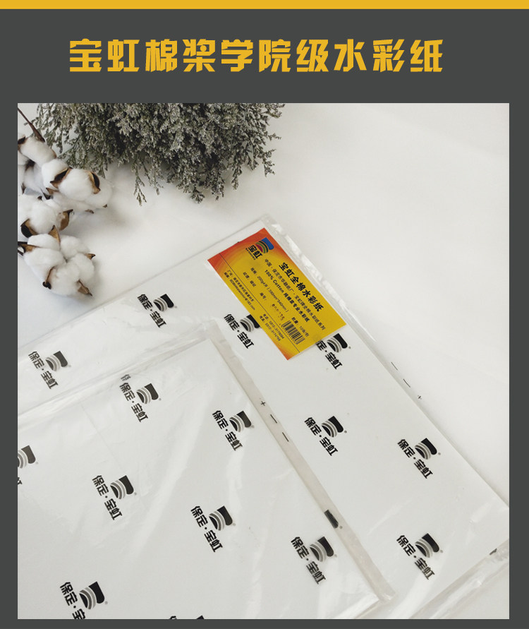 宝虹水彩纸4k8k16k32k棉浆水彩纸300g国货之光水彩入门必选