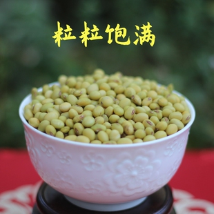 河北保定自然农法大豆黄豆食用传统农耕种植大豆