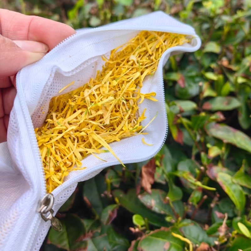 新品菊花枕垫金丝皇菊花草夏凉学生老人长方形单人出差便携枕头垫