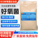 污水处理菌种好氧菌厌氧菌降解氨氮COD降解菌剂生物营养剂