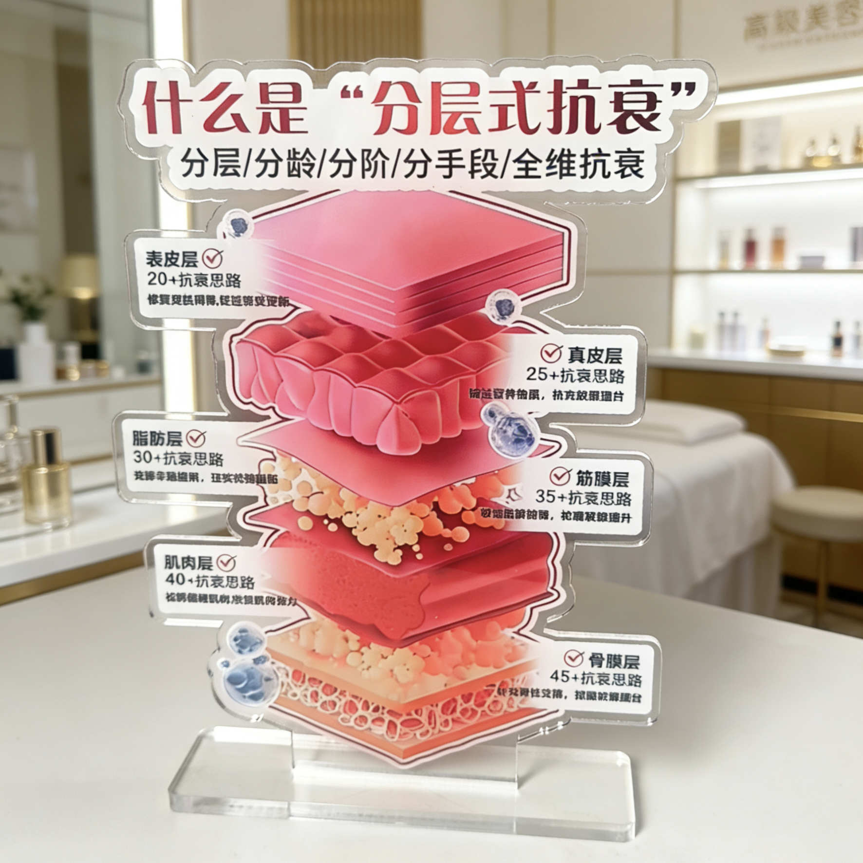 美容分层抗衰肌肤结构亚克力医学皮肤解剖知识讲解繁体医美子宫图