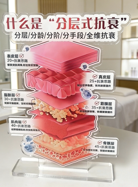 美容分层抗衰肌肤结构亚克力医学皮肤解剖知识讲解繁体医分层抗衰