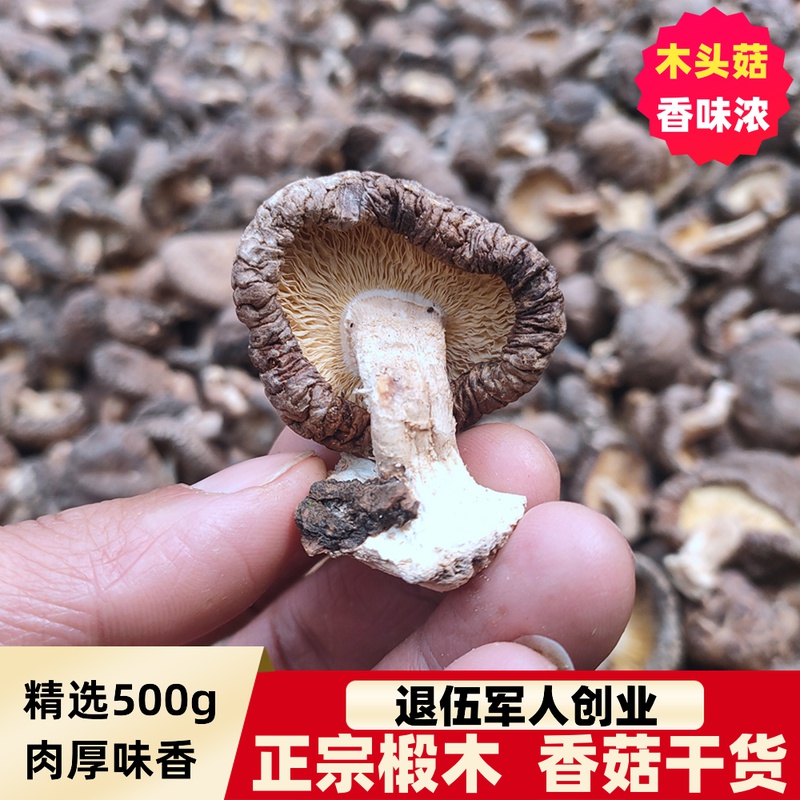 椴木野生香菇干货500g农家冬菇