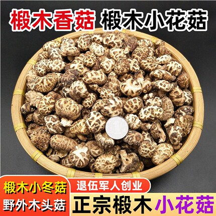 小花菇干货椴木小香菇500g湖北农家蘑菇野外生长木头菇椴树白花菇