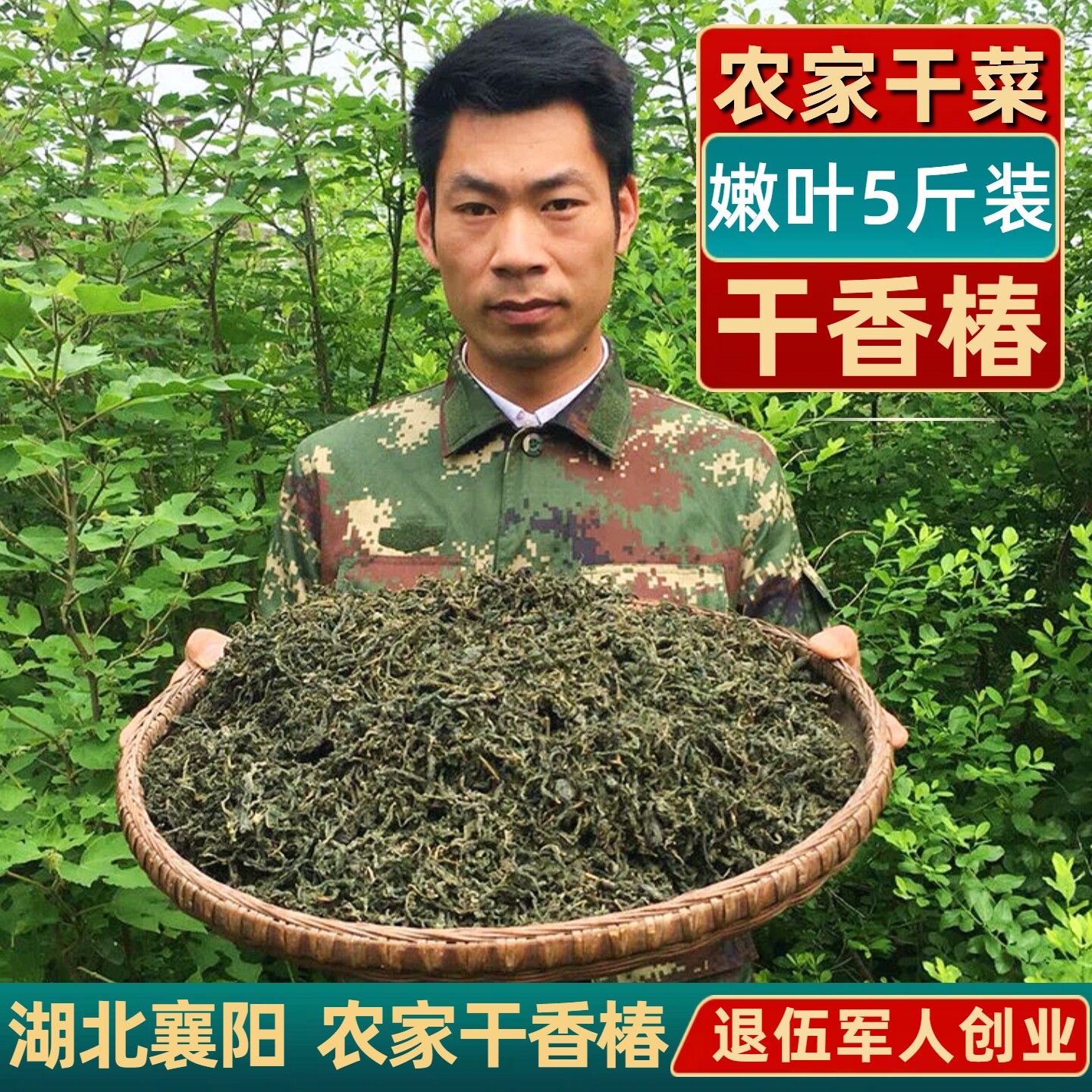 干香椿叶襄阳特产农家自晒干嫩香春芽干菜5斤干香椿包子饺子馅料