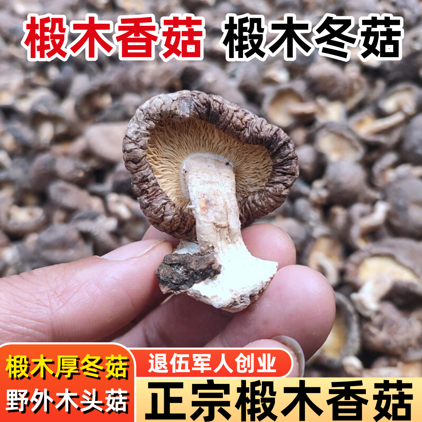 椴木香菇干货500g野外木头香菇厚冬菇湖北蘑菇散装家用干香茹花菇