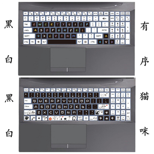 CU5DS键盘膜16.1寸神州笔记本电脑保护膜贴膜贴纸贴 神舟战神TX9