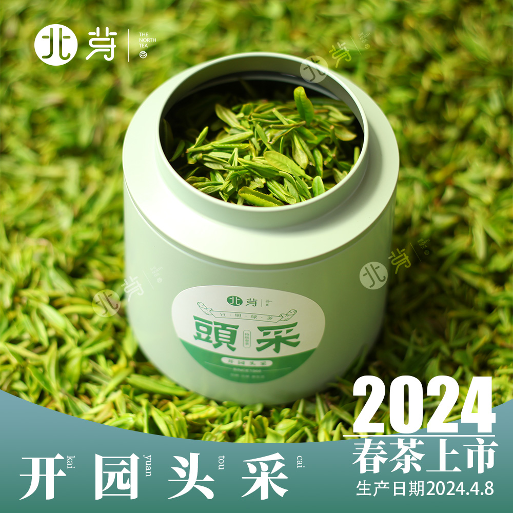 日照绿茶2024新茶开园头采特级罐装毛尖豌豆鲜香一芽一叶初展北芽 茶 日照绿茶 原图主图