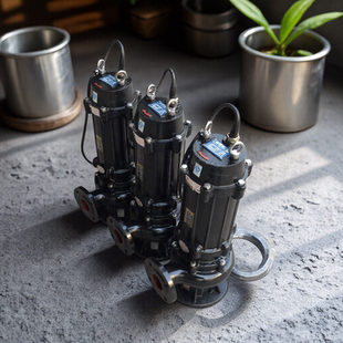 22kw潜污泵景观潜水泵建筑排污泵潜水泵污水泵扬程潜水泵