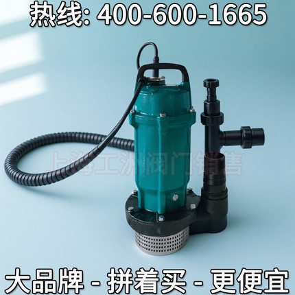 leo利欧QDX小型潜水电泵 成都利欧