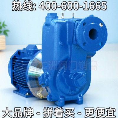 凯士比水泵AU Monobloc 上海ksb价格 ksb螺杆泵
