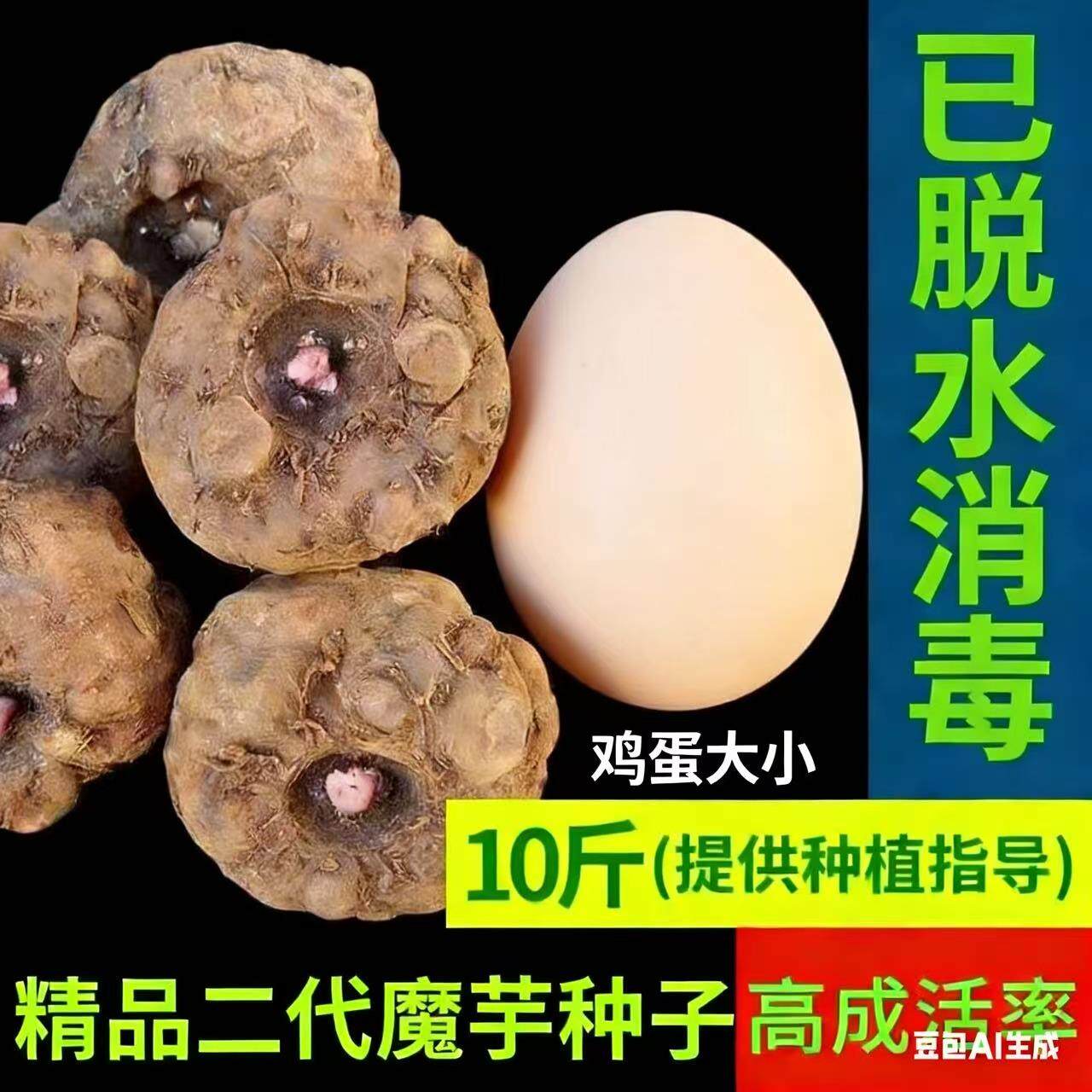 魔芋种云南高产一代二代种子脱水消毒花魔芋种籽十斤装魔芋种球好