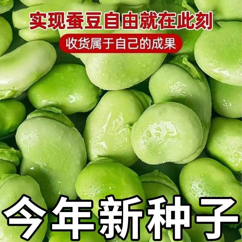 精选新货干蚕豆青胡豆可发芽做油炸罗汉豆莲花豆5斤装